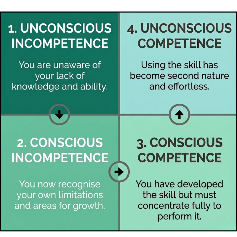 A depiction of Noel Burch's four stages of learning and what happens in each stage