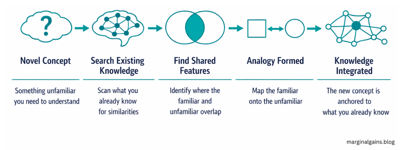 How analogies and metaphors help to remember what you learn