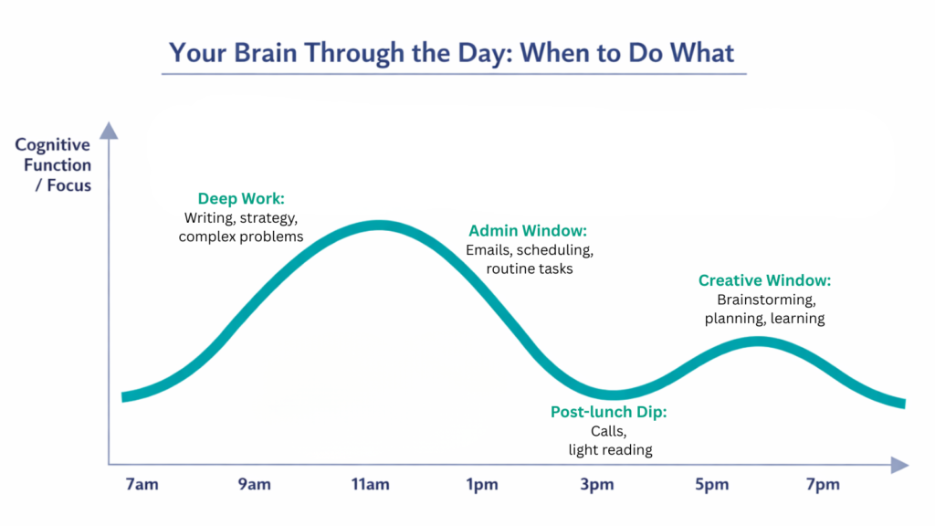 A diagram showing the typical mental energy peaks and troughs that people experience through the day and suggested activities