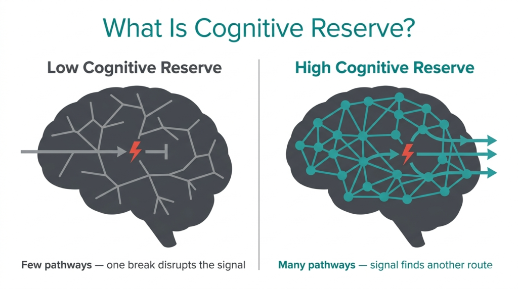 Infographic showing two brain silhouettes comparing low and high cognitive reserve, illustrating how a brain with more neural connections can reroute signals around a broken pathway