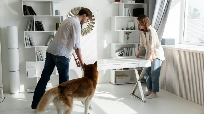 A couple moving a desk to optimise their home office for productivity