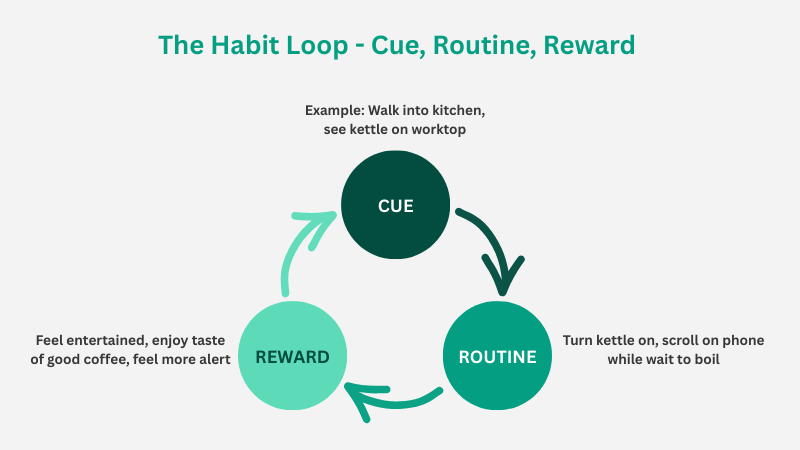 The habit loop diagram showing the three-step cycle of cue, routine and reward