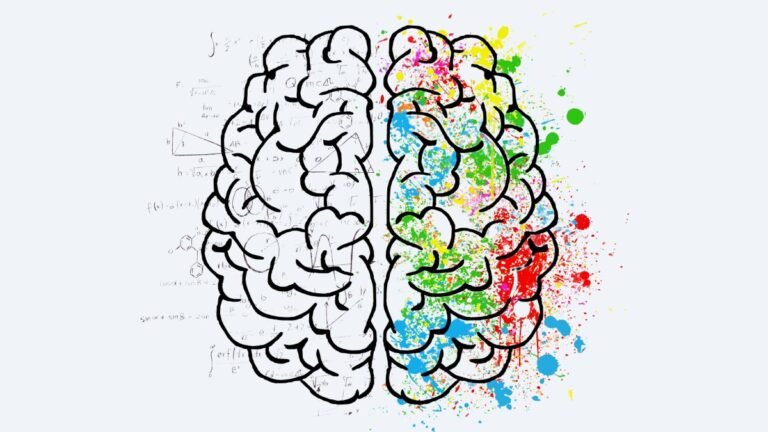 Split brain illustration showing left hemisphere in sketch form and right hemisphere in vibrant colours representing dual coding in mnemonic techniques