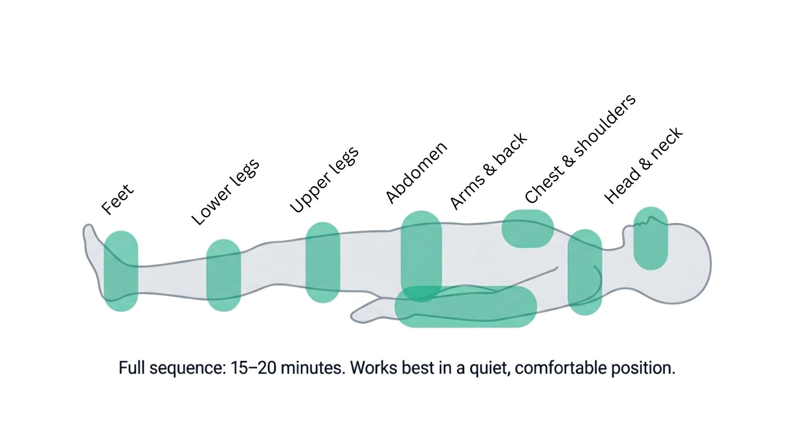 Infographic showing the sequence of progressive muscle relaxation from head to toe