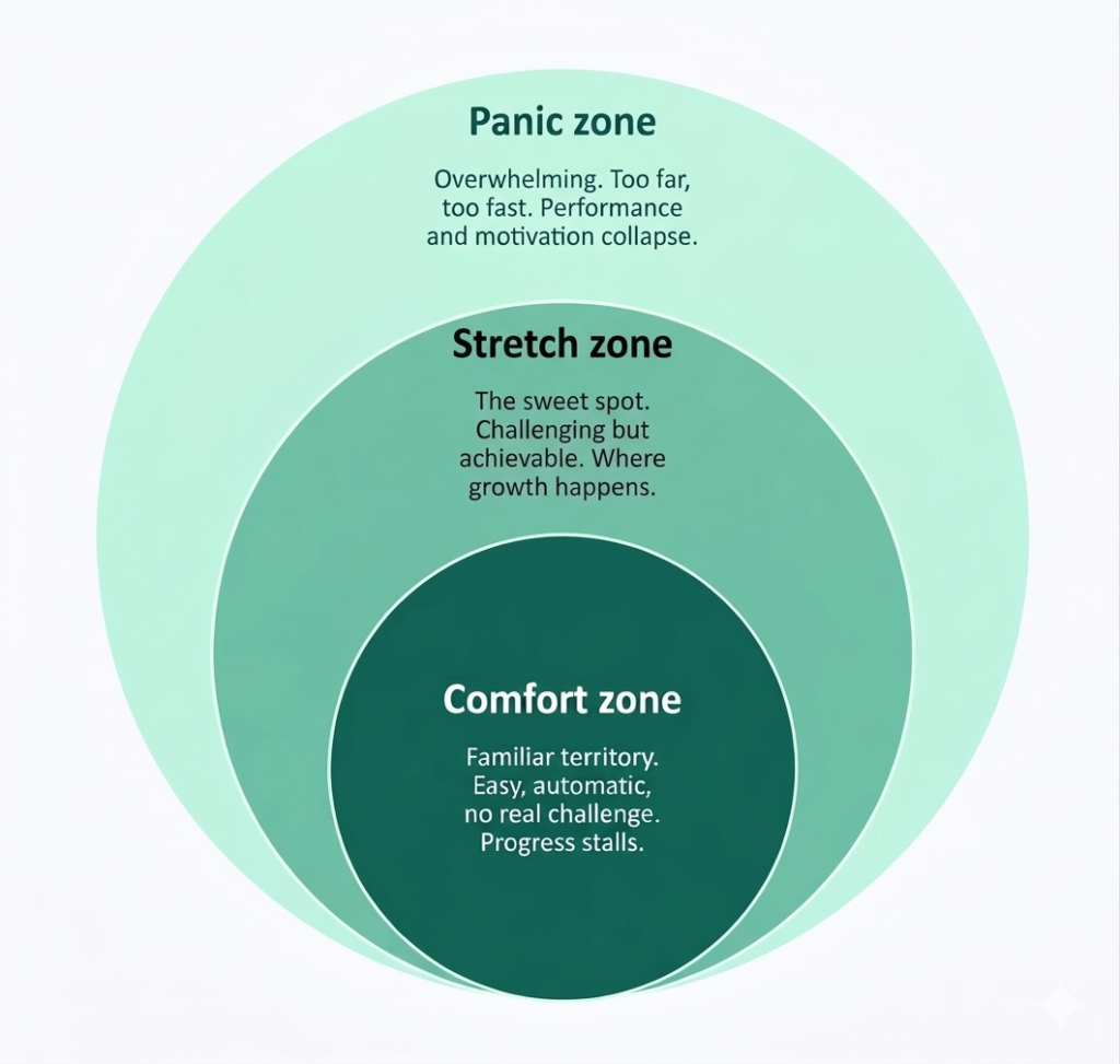Diagram showing concentric circles and descriptions of Karl Rohnke's three zones of challenge: Comfort, Stretch and Panic