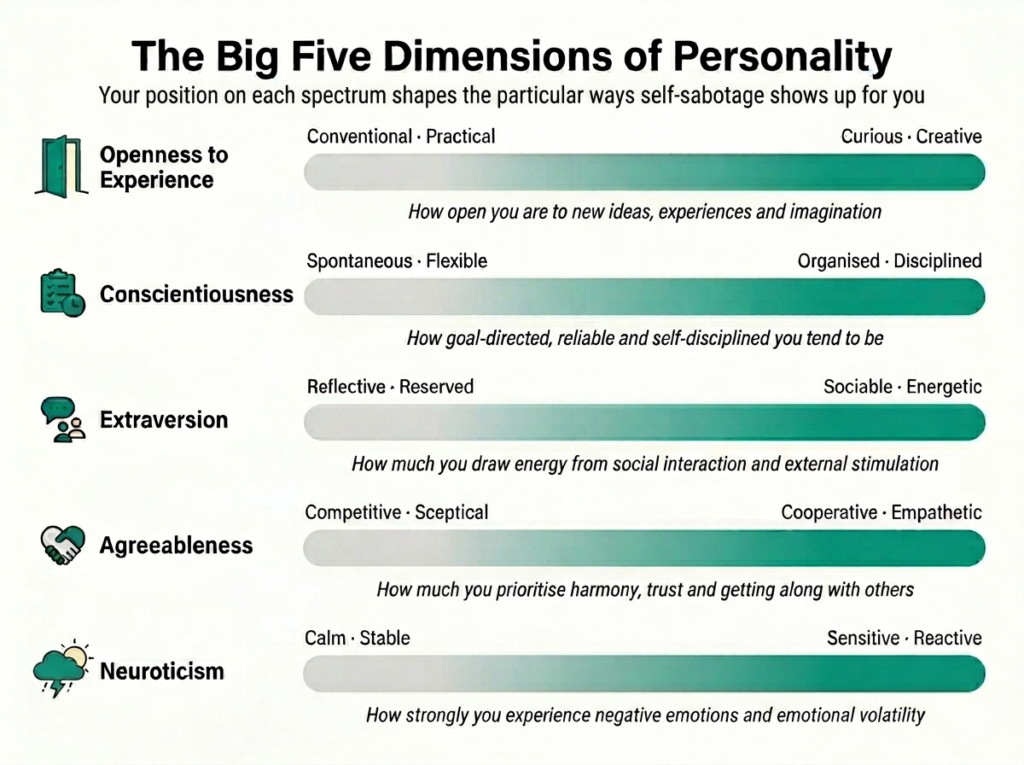 Infographic showing the Big Five Dimensions of Personality as five horizontal spectrum bars: Openness to Experience, Conscientiousness, Extraversion, Agreeableness, and Neuroticism. Each bar runs from one extreme to the other, with a brief description of what the trait measures